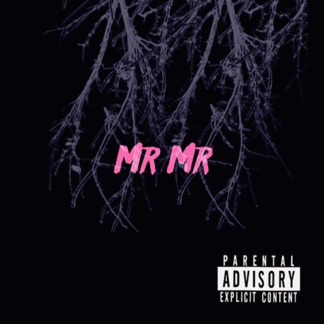 Mr Mr | Boomplay Music