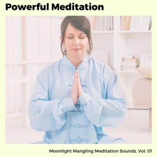 Powerful Meditation - Moonlight Mangling Meditation Sounds, Vol. 01