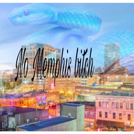 No Memphis Bitch | Boomplay Music
