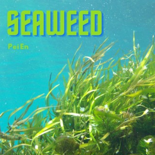 Seaweed