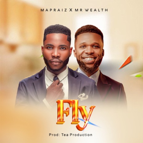 Fly ft. Mr Wealth | Boomplay Music