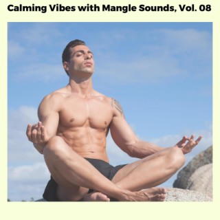 Calming Vibes with Mangle Sounds, Vol. 08