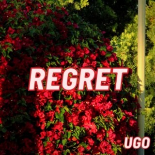 REGRET