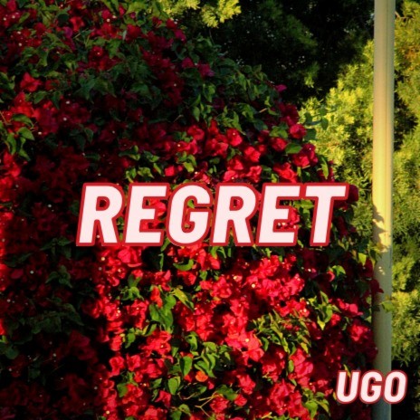 REGRET | Boomplay Music