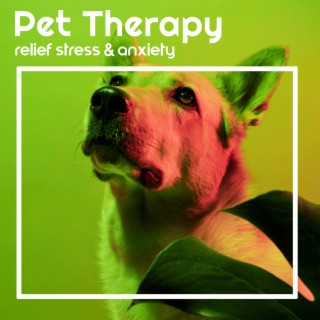Pet Therapy: Relief Stress & Anxiety