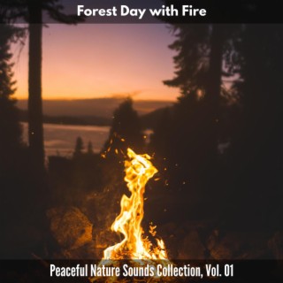 Forest Day with Fire - Peaceful Nature Sounds Collection, Vol. 01