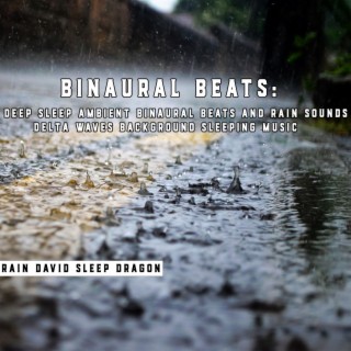 Binaural Beats: Deep Sleep Ambient Binaural Beats and Rain Sounds , Delta Waves Background Sleeping Music