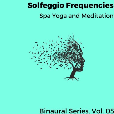 Soft Mindful Meditation | Boomplay Music