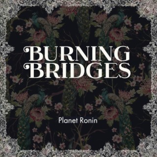 Burning Bridges