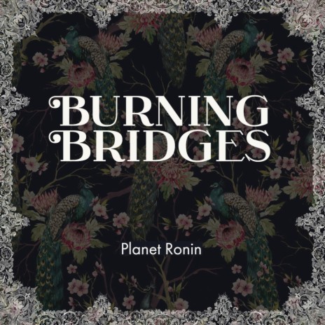 Burning Bridges | Boomplay Music