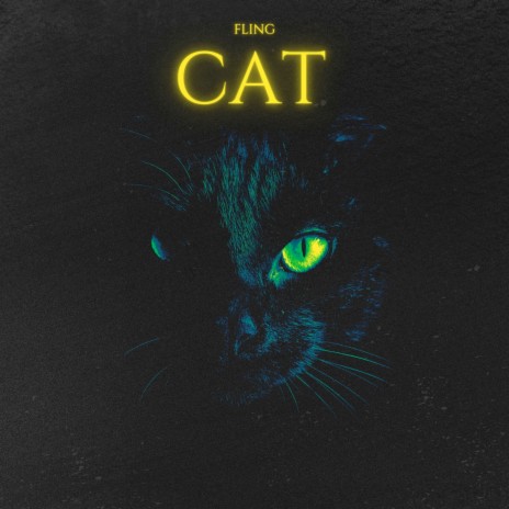 Cat | Boomplay Music