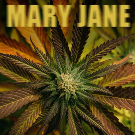 Mary Jane ft. AKT Aktion | Boomplay Music