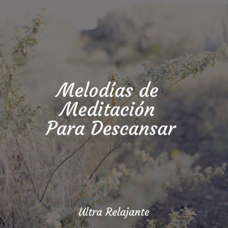 Melodía Relajante | Boomplay Music