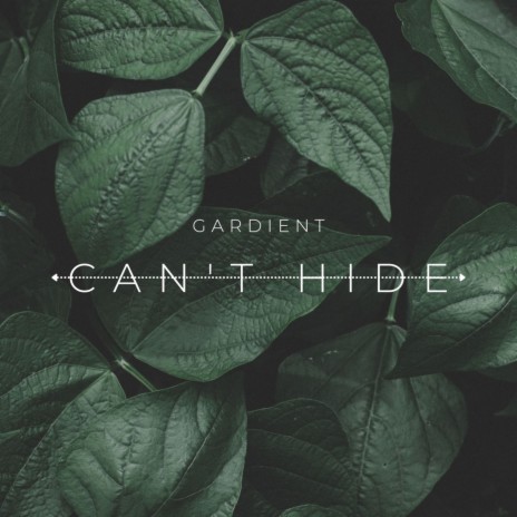 Can't Hide | Boomplay Music