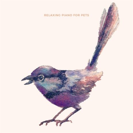 Peaceful Music For Birds
