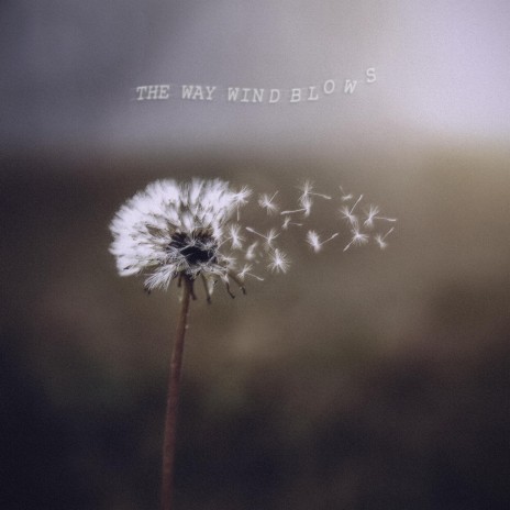 The Way Wind Blows | Boomplay Music