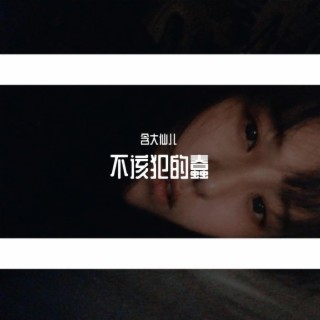 不该犯的蠢 lyrics | Boomplay Music