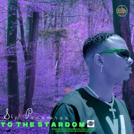 To the Stardom | Boomplay Music