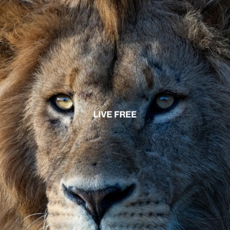 Live Free (Live) ft. Jaisua | Boomplay Music