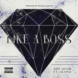 Like a Boss (feat. DEVMO)