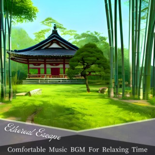 Comfortable Music Bgm for Relaxing Time