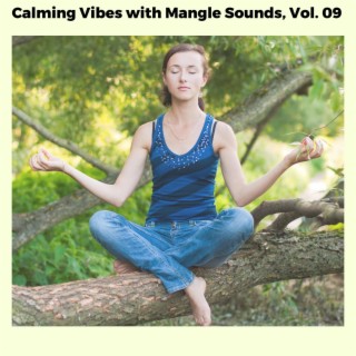 Calming Vibes with Mangle Sounds, Vol. 09