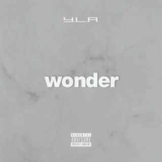 wonder