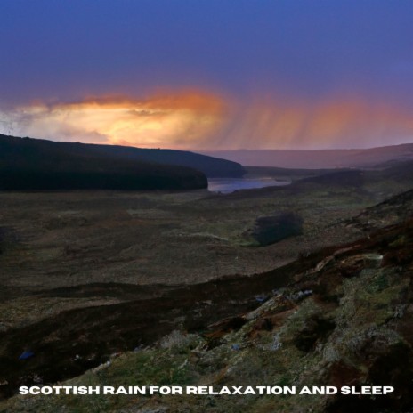 Peaceful Rainfall from the Scottish Woodlands