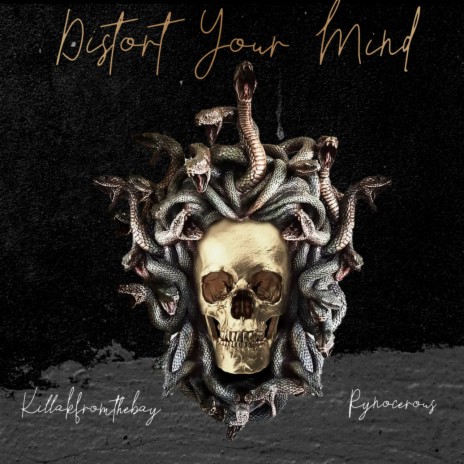 Distort Your Mind ft. Rynocerous | Boomplay Music