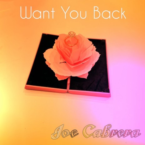Want You Back | Boomplay Music