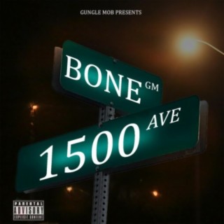 1500 AVE