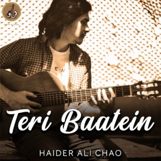 Teri Baatein