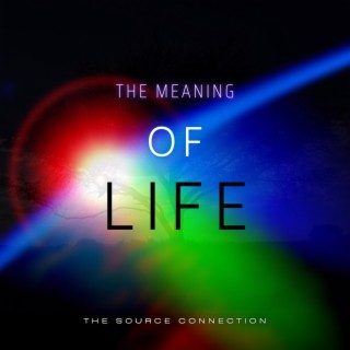 The Meaning Of Life lyrics | Boomplay Music