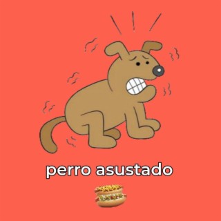 Perro asustado