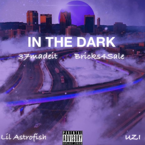 In The Dark (feat. Lil Astrofish & UZI) | Boomplay Music