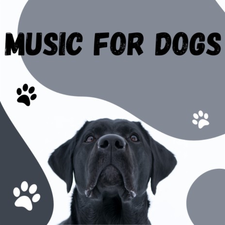 Peaceful Calming Music ft. Music For Dogs Peace, Calm Pets Music Academy & Relaxing Puppy Music | Boomplay Music