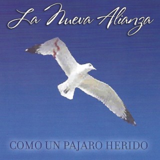 Como Un Pajaro Herido