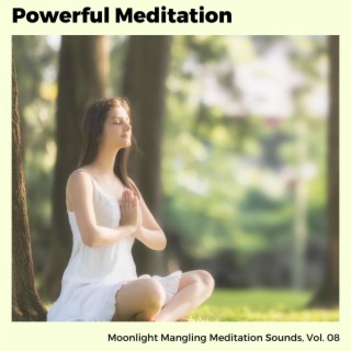 Powerful Meditation - Moonlight Mangling Meditation Sounds, Vol. 08