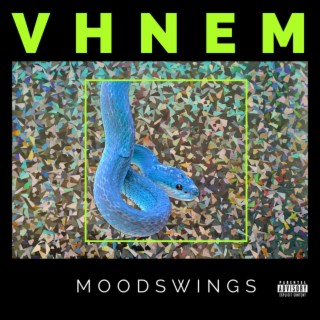 VHNEM