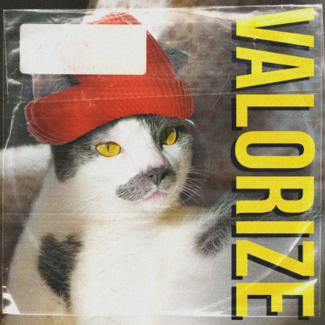 Valorize | Boomplay Music