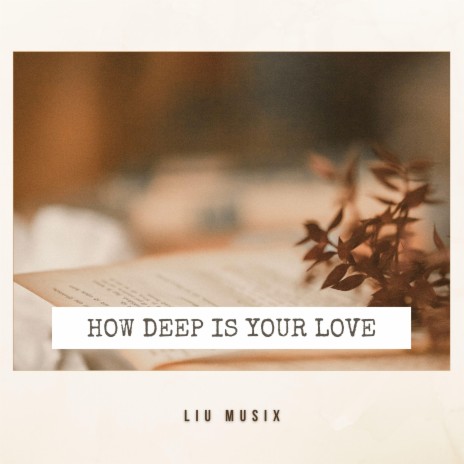 How Deep Is Your Love (Acoustic Guitar Fingerstyle) | Boomplay Music