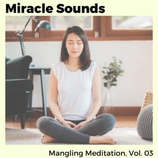 Miracle Sounds - Mangling Meditation, Vol. 03