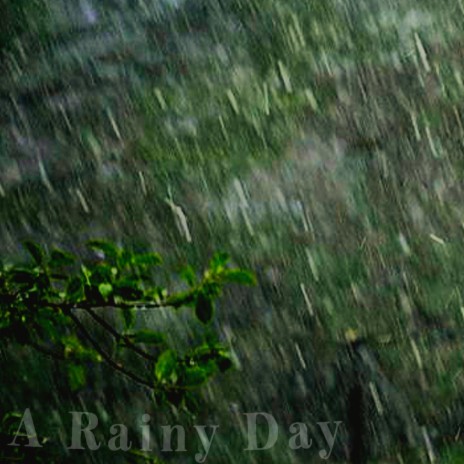 Rain In A Forest | Boomplay Music