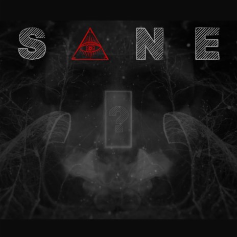Sane? | Boomplay Music
