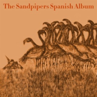 Second Spanish Album