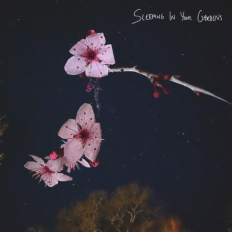 Sleeping In Your Gardens | Boomplay Music