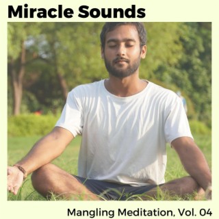 Miracle Sounds - Mangling Meditation, Vol. 04