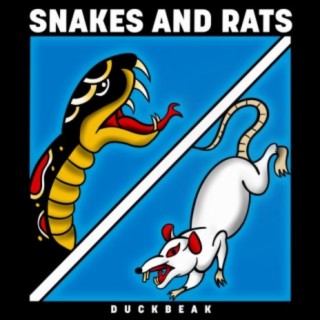 Snakes and Rats