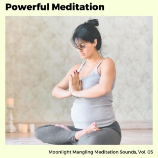 Powerful Meditation - Moonlight Mangling Meditation Sounds, Vol. 05