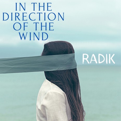 In the Direction of the Wind | Boomplay Music